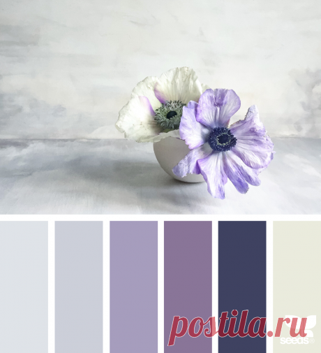 design seeds | for all who ♥ color