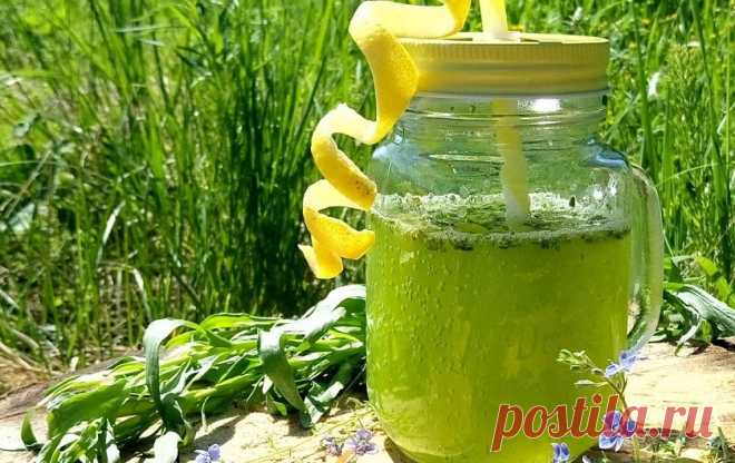 Дачный напиток «Тархун»: нереально вкусный и полезный! - Вкусные рецепты - медиаплатформа МирТесен