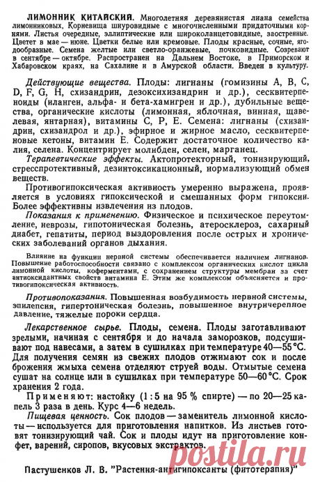 Лимонник китайский