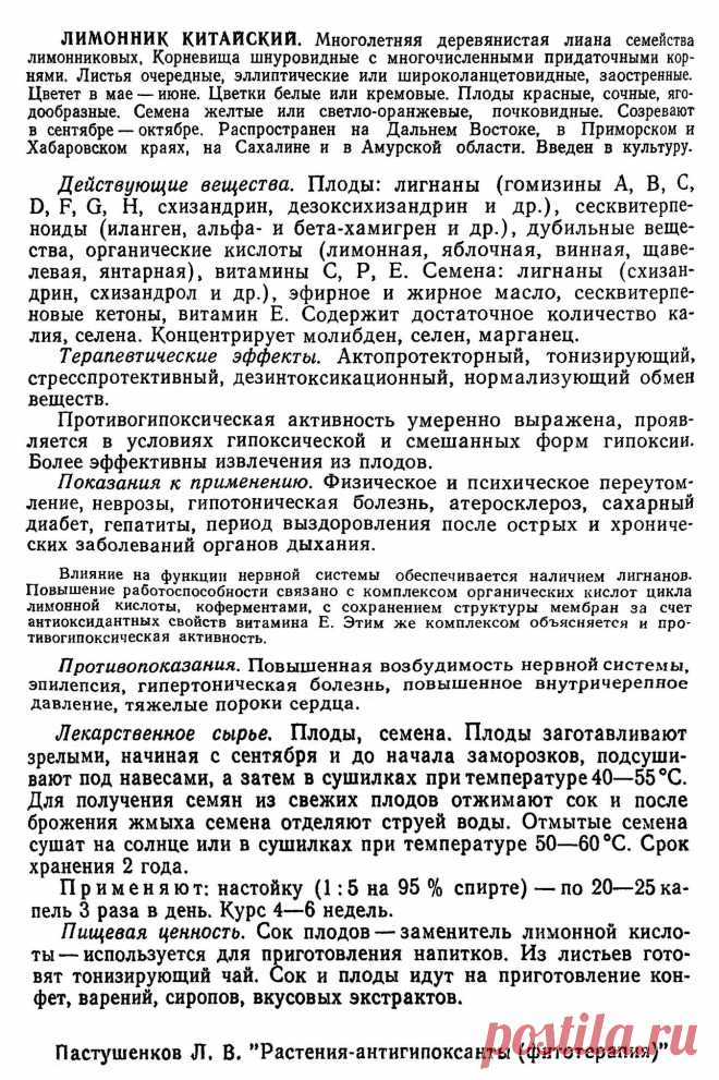 Лимонник китайский