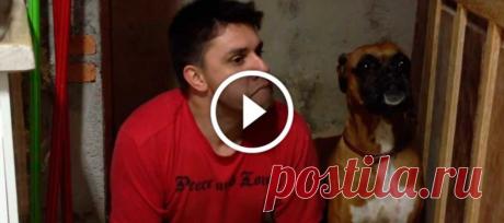 Парень решил пародировать своего пса! Реакция песика просто прекрасна