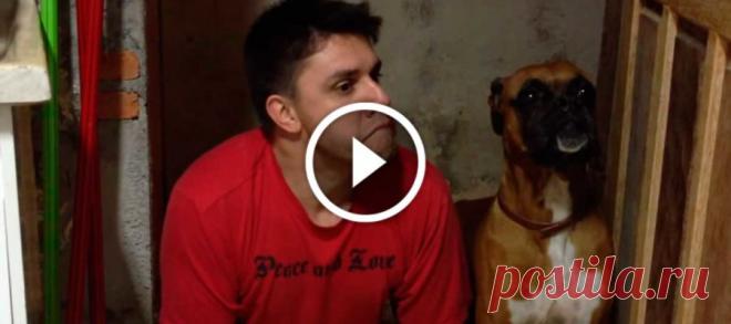 Парень решил пародировать своего пса! Реакция песика просто прекрасна