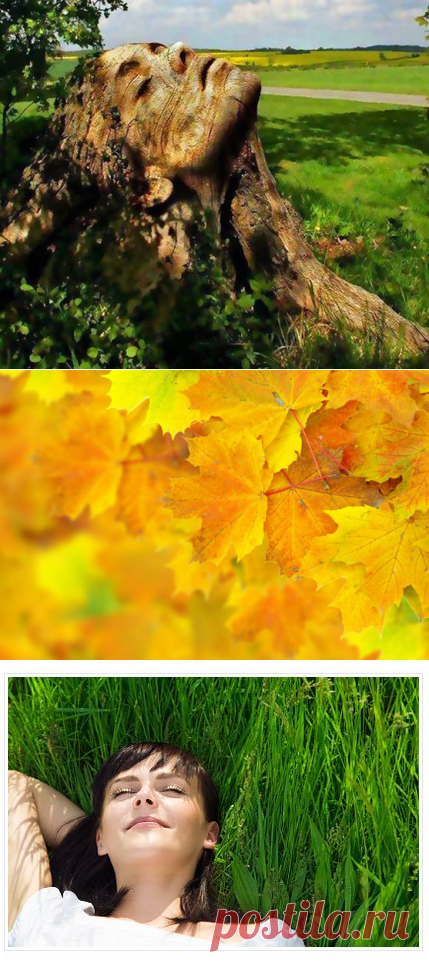 Ци-гун, Аюрведа, Акупрессура, Техники медитации, Прочие оздоровительные методики | FEMIANA