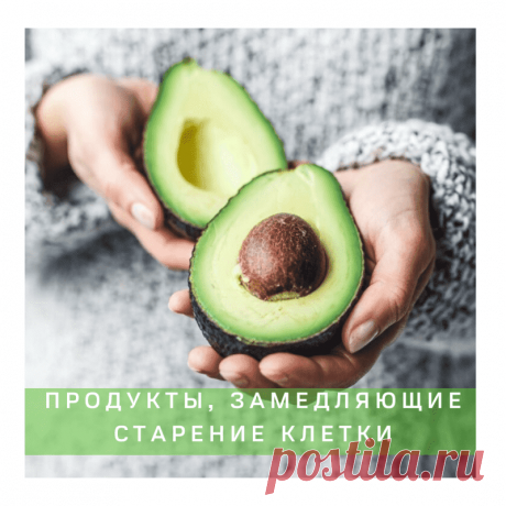 Продукты_замедляющие_старение Народная медицина — рецепты, советы, способы, cекреты и народные средства.
