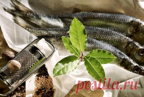 10 фактов о форшмаке