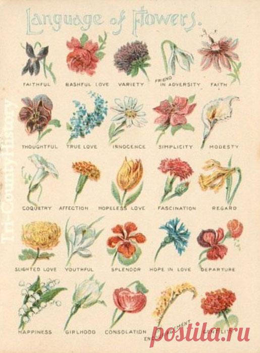 Мода на грани безумия: Как в XIX веке дамы украшали себя