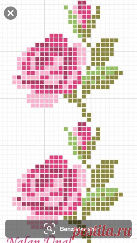 a cross stitch pattern with pink roses on it and the words,'bezierder area