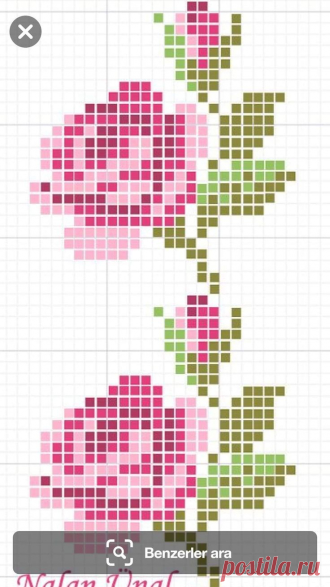 a cross stitch pattern with pink roses on it and the words,'bezierder area