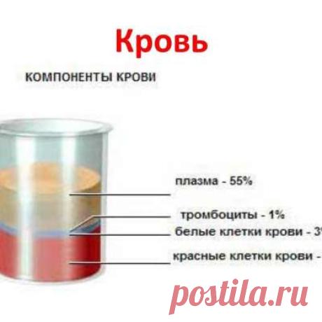 Учитель биологии!