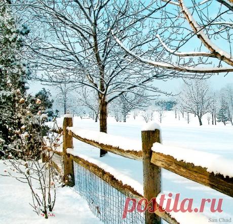 SAN CHAD * MODERN ART – 160 фотографий