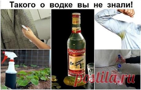 Такого о водке вы не знали! Жмите КЛАСС, сохраняйте в своей ленте.
20 вариантов использования ВОДКИ не по назначению
(ТАКОГО ВЫ РАНЬШЕ НЕ ЗНАЛИ!!!)
1. Чтобы без боли снять с раны лейкопластырь, пропитайте его водкой. Она растворит клей.
2. Водка борется с неприятным запахом от ног.
Причина запаха – бактерии, обитающие около потовых желез. Обтирая утром и вечером ноги водкой, вы ликвидируете эти бактерии, и некому будет «производить» неприятный запах.
3. Чтобы прочистить замазку швов в ванных