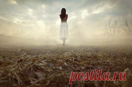 Мои закладки