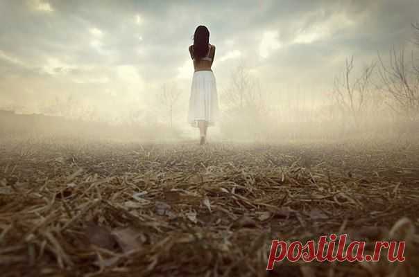 Мои закладки