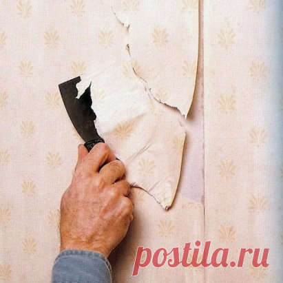 Как удалить побелку со стен
Удаление побелки или клеевой краски со стен – один из основных подготовительных этапов ремонта комнаты или квартиры. Очистка стен от побелки представляет довольно трудоемкий и сложный процесс, особенно если поверхность стен имеет неровности.
Инструкция
1В большинстве случаев, если полный ремонт делается вами первый или второй раз в жизни, процесс удаления побелки займет гораздо больше времени, чем снятие старых обоев. Перед тем как приступить к выполнению работы, за