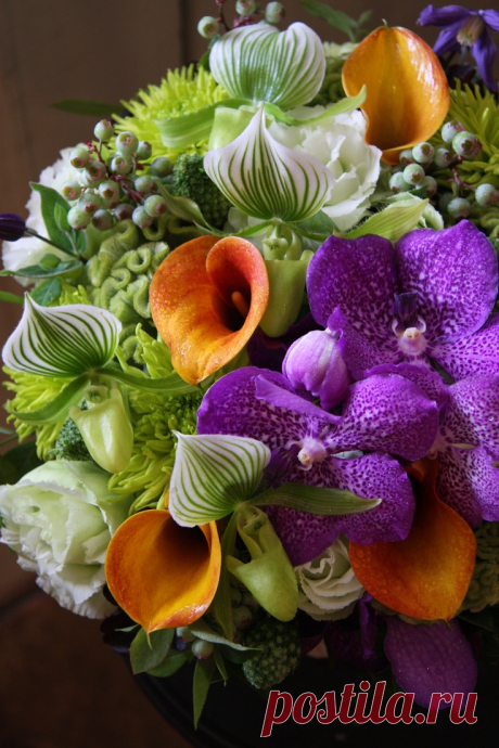 Орхидеи, Ломонос и Хризантемы