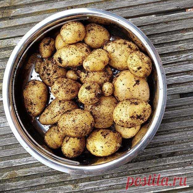#Углеводы и #похудение: можно #похудеть, употребляя углеводы?