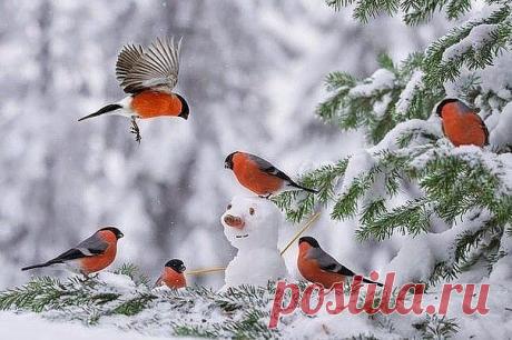 Мой Мир@Mail.Ru