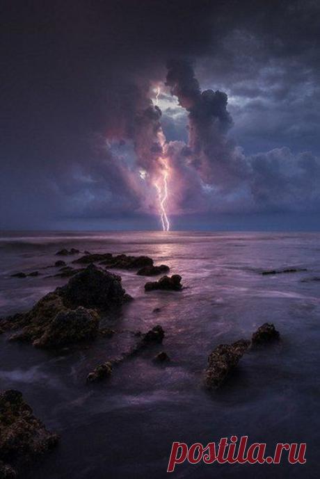 ♥ ЖИВОТНЫЕ ♥ ПРИРОДА ♥