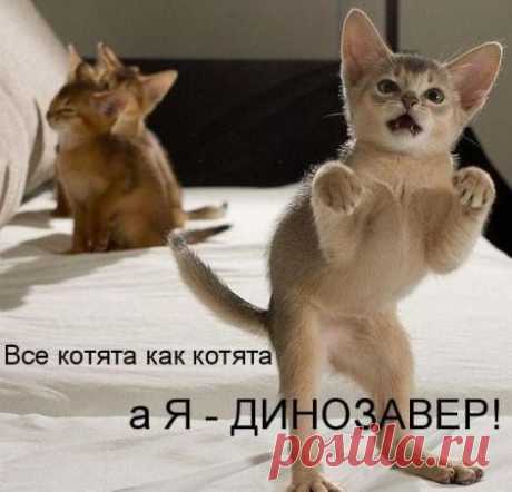 шутник