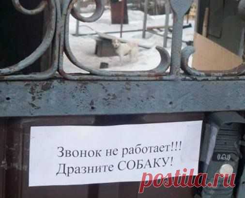 Василий Тимошин vasiliy-timoshin (Vasilek), Москва, Россия на Мой Мир@Mail.RU