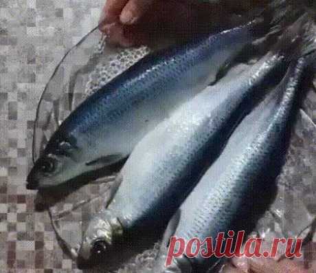 Солю селедку и скумбрию по этому рецепту уже года два. Получается очень вкусная малосольная...