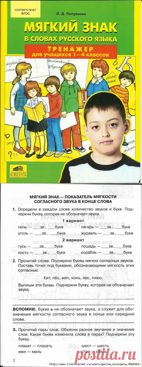 Мягкий знак в словах русского языка. Тренажер для уч-ся 1-4 классов.
