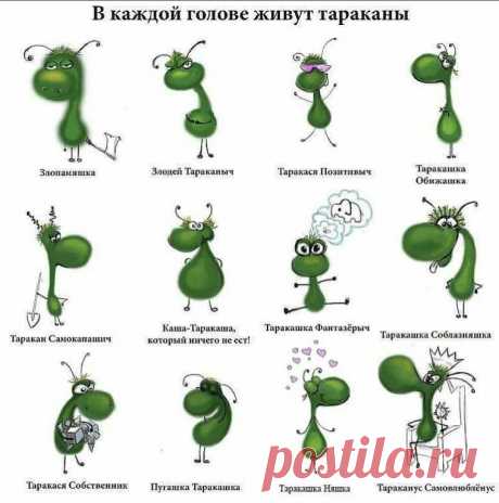 «Мы обнаружили грязь у соседей и насекомых, вызвали опеку, ведь там четверо детей» - рассказ переселенцев | Улыбка Ребёнка | Яндекс Дзен