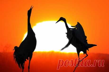 Новые фотографии