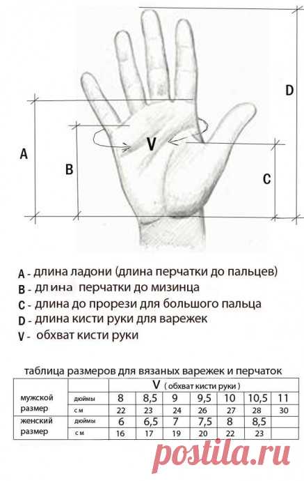 Учимся снимать меpки для ваpежек