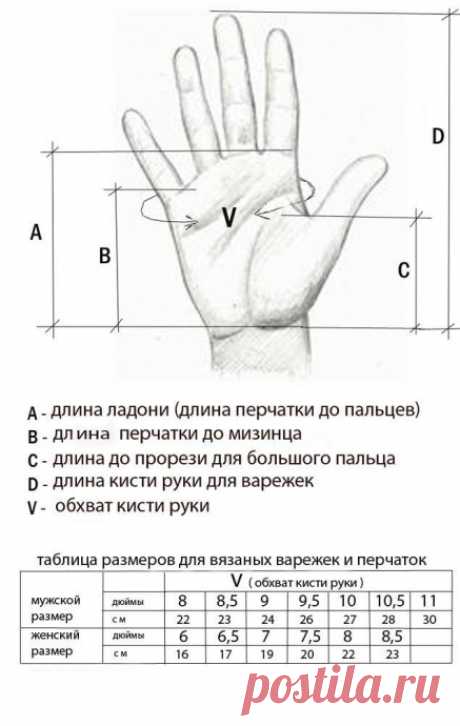 Учимся снимать меpки для ваpежек