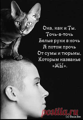 Картинки со стихами Саши Бест.