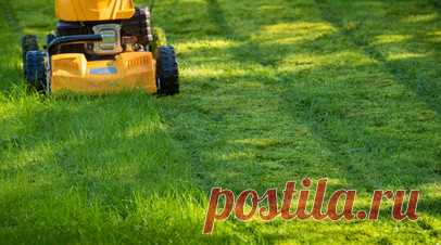 Головин пожаловался на качество газона в Санкт-Петербурге. Полузащитник сборной России Александр Головин поделился впечатлениями от ничьей с командой Перу в товарищеском матче (1:1). Читать далее