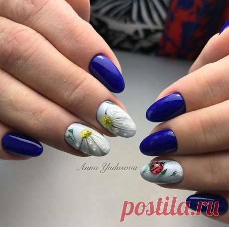 🎀Shellac Msc🎀 Bluesky/Lacomchir/Kodi