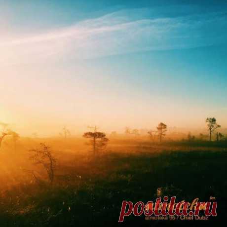 Chief Dubz — Atmoteka 96 2024 /DOWNLOD