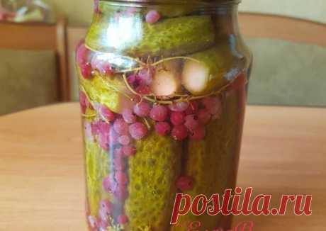 Маринованные огурцы с красной смородиной - пошаговый рецепт с фото. Автор рецепта Елена Верховод 🏃‍♂️ . - Cookpad