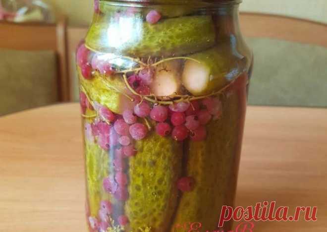 Маринованные огурцы с красной смородиной - пошаговый рецепт с фото. Автор рецепта Елена Верховод 🏃‍♂️ . - Cookpad