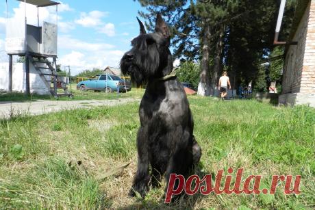 мой вынос мозга....