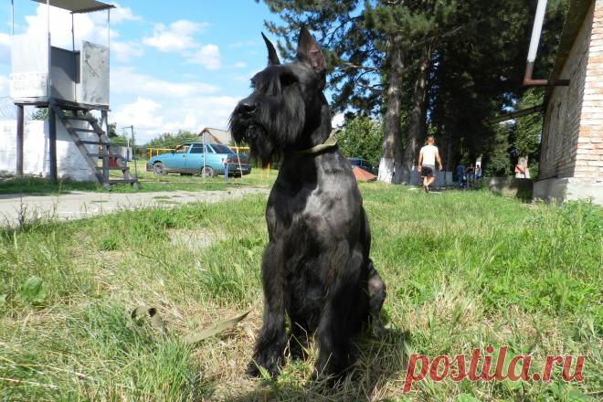 мой вынос мозга....