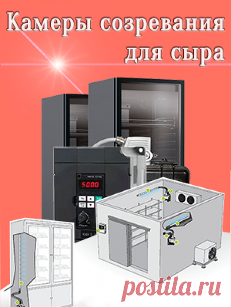Опыт организации сыроварни — часть 1