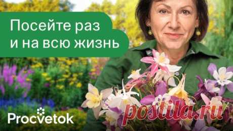 Статьи, новости и видео от популярных блогеров и СМИ | Будь в теме — будь в Дзене