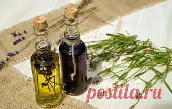 Как избавиться от тли: 7 натуральных методов, которые действительно работают | Сад и Огород