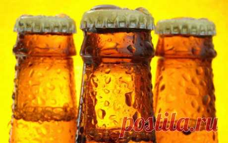 Если пиво уже выдохлось, не выбрасывайте его! / Как сэкономить