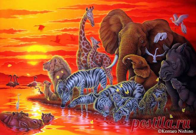 Яркие, западающие в душу картины, создавая фантастический животный мир и описывая красоту первозданной природы. Кентаро Нишино (Kentaro Nishino).