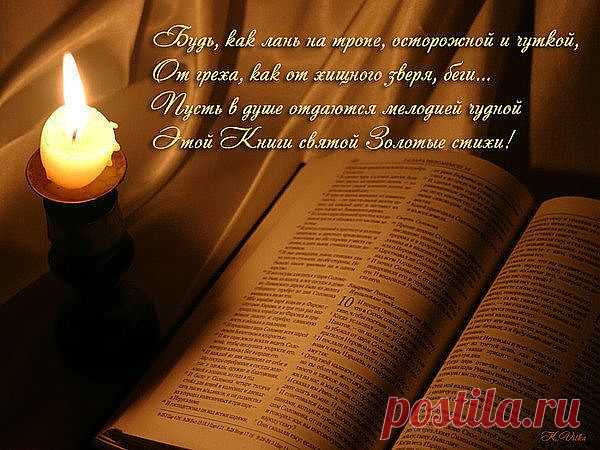 (50) Одноклассники