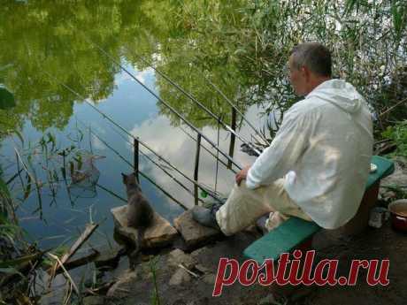 Рыбнадзор / Богатая добыча