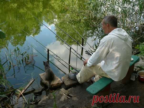 Рыбнадзор / Богатая добыча