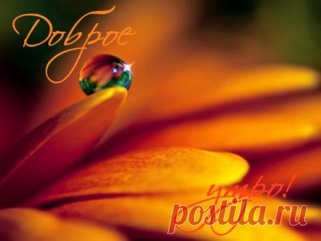 Центр семейного досуга