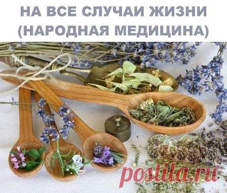 (28) Одноклассники