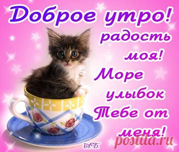 Красивые открытки с добрым утром любимой девушке: короткие пожелания в стихах ⭐ Забавник