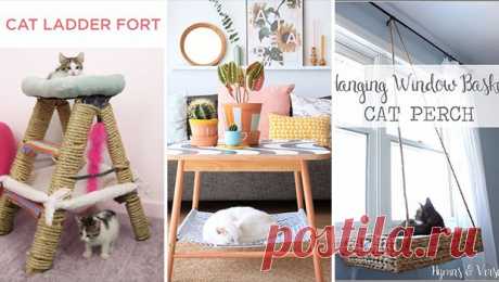 15 Smart DIY Ways To Keep Your Cat Entertained In Your Home